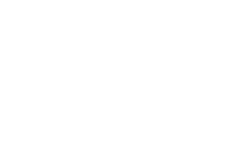 ISO Professional Cleaning Products